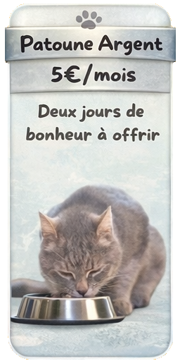 Patoune Argent