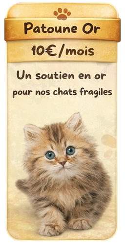 Patoune Or